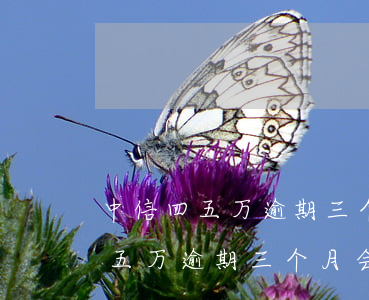 中信四五万逾期三个月会被起诉吗-中信四五万逾期三个月会被起诉吗知乎