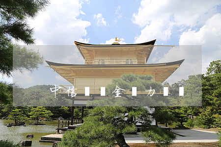 中信圓夢金無力償還