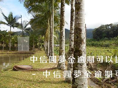 中信圓夢金逾期可以協(xié)商分期嗎-中信圓夢金逾期可以協(xié)商分期嗎
