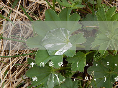 中信新快現(xiàn)逾期被起訴(中信新快現(xiàn)逾期被起訴)