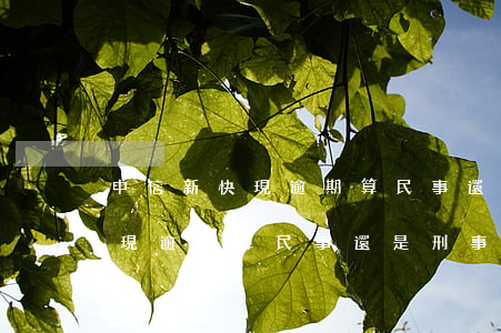 中信新快現逾期算民事還是刑事-中信新快現逾期算民事還是刑事案件
