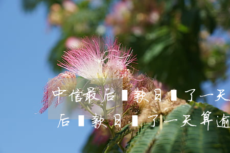 中信最后還款日遲了一天算逾期嗎-中信最后還款日遲了一天算逾期嗎怎么辦
