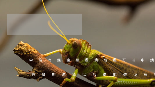 中信有過逾期還清后還可以申請嗎-中信銀行逾期還清以后還能恢復額度嗎