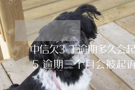 中信欠3千逾期多久会起诉 中信银行欠1万5,逾期三个月会被起诉吗