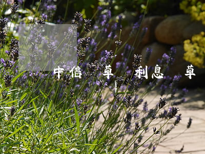中信煙草貸利息(煙草貸的利息)