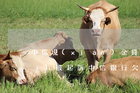 中信現(xiàn)金貸逾期多錢會(huì)被起訴(中信銀行欠1萬(wàn)5,逾期三個(gè)月會(huì)被起訴嗎)