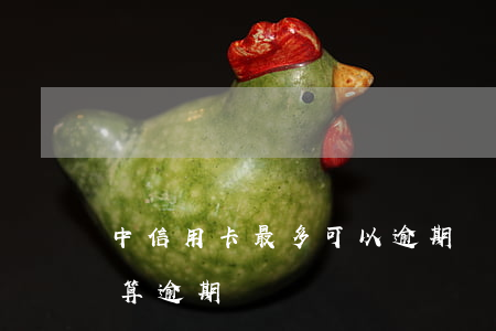 中信用卡最多可以逾期幾天(信用卡超過幾天算逾期)
