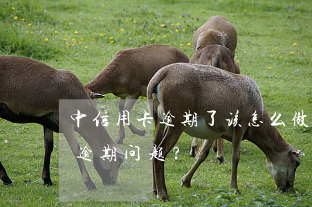 中信用卡逾期了该怎么做，如何处理中信用卡逾期问题？