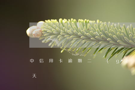 中信用卡逾期二個(gè)月(信用卡 逾期 兩天)