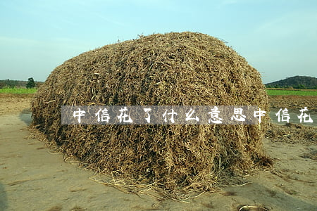 中信花了什么意思（中信花说我逾期）
