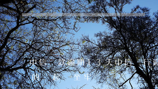 中信貸款逾期13天(中信銀行逾期三個月真的會起訴坐牢嗎)