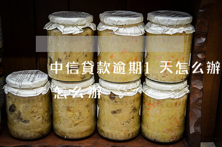 中信貸款逾期1天怎么辦(中信貸款逾期1天怎么辦)