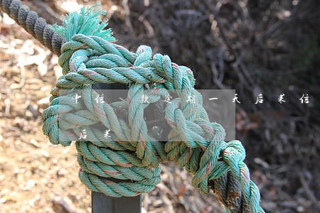 中信貸款逾期一天后果(信用貸逾期1天還款后果)