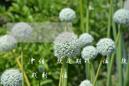 中信貸款逾期找單位(貸款逾期會(huì)找到單位嗎)