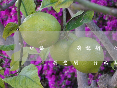中信賬單沒有逾期為什么越還越多-中信賬單沒有逾期為什么越還越多呢