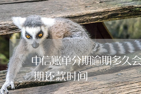 中信账单分期逾期多久会提前终止-中信分期还款时间