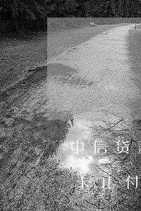中信贷款逾期信用卡止付 中信贷款逾期信用卡止付