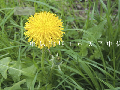 中信逾期16天了(中信逾期16天了怎么辦)