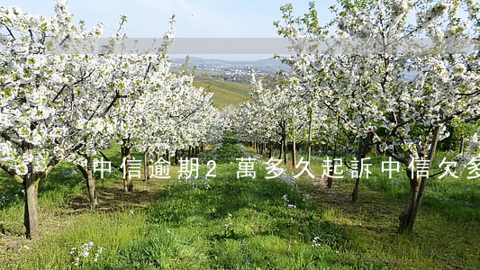 中信逾期2萬多久起訴(中信欠多少起訴)