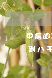 中信逾期3000要起訴我(中信銀行逾期不到八千,說要立案起訴)