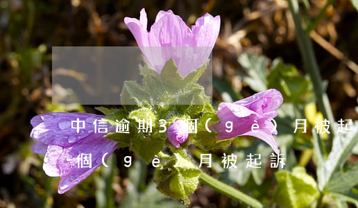 中信逾期3個(gè)月被起訴(中信逾期3個(gè)月被起訴)
