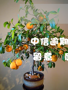中信逾期6000元起訴(中信銀行要起訴我留意開庭公告)