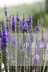 中信逾期一個(gè)多月打電話說要上門-中信逾期兩個(gè)月說要上門催收是真的嗎