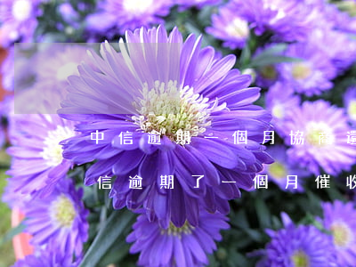 中信逾期一個月協商還款 會打聯系人嗎-中信逾期了一個月,催收說還了對征信就沒影響
