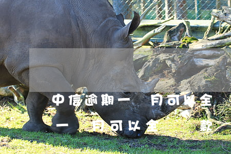中信逾期一個月可以全額還款嗎-中信逾期一個月可以全額還款嗎知乎