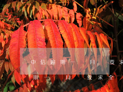 中信逾期一個月會要求全額還款嗎-中信逾期一個月會要求全額還款嗎是真的嗎