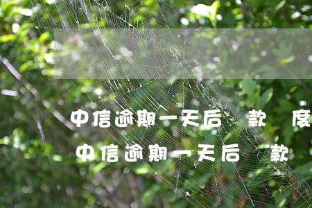 中信逾期一天后還款額度沒恢復(fù)-中信逾期一天后還款額度沒恢復(fù)怎么辦