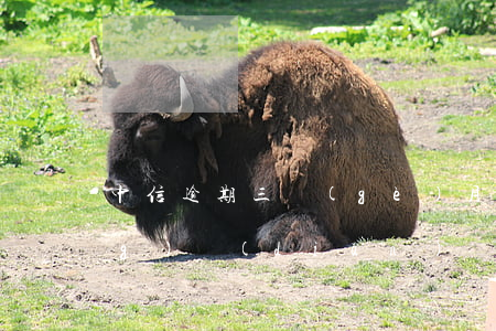 中信逾期三個(gè)月可以去網(wǎng)點(diǎn)協(xié)商嗎-中信逾期三個(gè)月可以去網(wǎng)點(diǎn)協(xié)商嗎