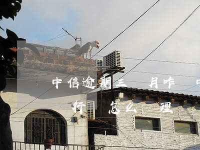 中信逾期三個月咋辦(中信貸款逾期半年多了,銀行會怎么處理?)