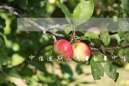 中信逾期三月擬起訴(中信要起訴)