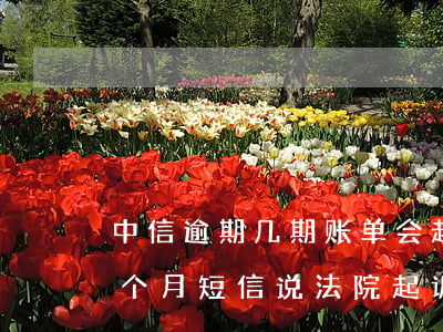 中信逾期几期账单会起诉-中信银行逾期一个月短信说法院起诉是真的嘛