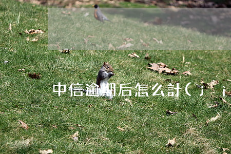 中信逾期后怎么計(jì)算本金