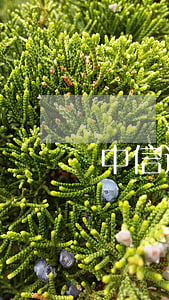 中信逾期已寄律師函(中信銀行寄律師函)