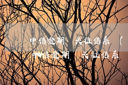 中信逾期幾天征信系統(tǒng)能查到(中信逾期幾天征信系統(tǒng)能查到嗎)