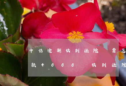 中信逾期收到法院傳票怎么辦-中信銀行欠款4000會收到法院的傳票嗎
