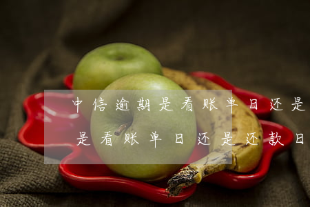 中信逾期是看账单日还是还款日-中信逾期是看账单日还是还款日的