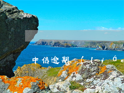 中信逾期聯(lián)系誰投訴了怎么辦