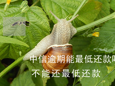 中信逾期能最低还款吗(中信信用卡逾期多久不能还最低还款)
