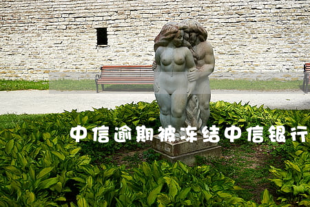 中信逾期被冻结(中信银行被冻结的原因)