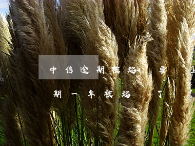 中信逾期被起訴要馬上判刑嗎-中信銀行逾期一年被起訴了開(kāi)庭沒(méi)到場(chǎng)