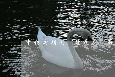 中信逾期起訴地是在戶籍地嗎