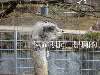 中信逾期起訴是真的嗎 中信欠多少起訴