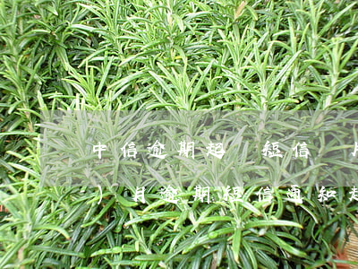 中信逾期起訴短信圖片(中信逾期一個(gè)月逾期短信通知起訴是真的嗎)