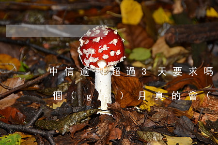 中信逾期超過3天要求嗎-中信銀行逾期三個(gè)月真的會(huì)起訴坐牢嗎