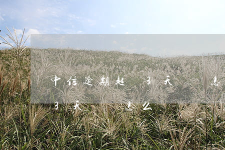 中信逾期超過3天計劃怎么辦(中信逾期超過3天計劃怎么辦)