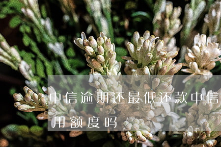 中信逾期还最低还款(中信还最低还款影响信用额度吗)